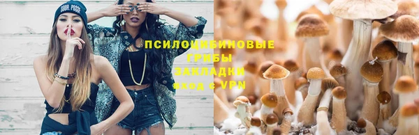 мет Гусев