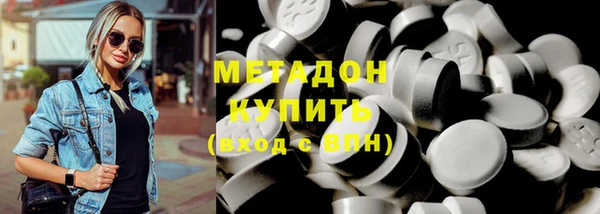 прущие грибы Гусиноозёрск