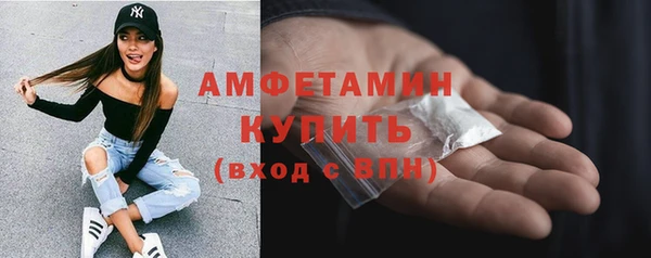 прущие грибы Гусиноозёрск