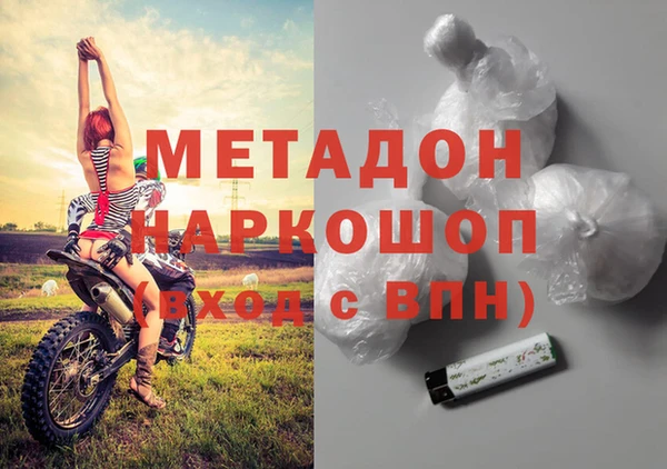 прущие грибы Гусиноозёрск
