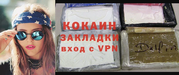прущие грибы Гусиноозёрск