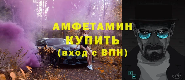прущие грибы Гусиноозёрск
