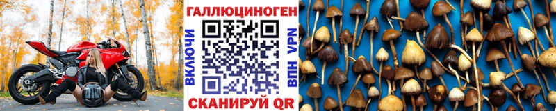 Галлюциногенные грибы прущие грибы  Рыбинск 